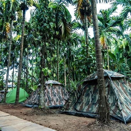 Dandeli Goldfinch Resort Kültér fotó